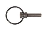 AR-15 QD Rear Takedown Pin With Swivel